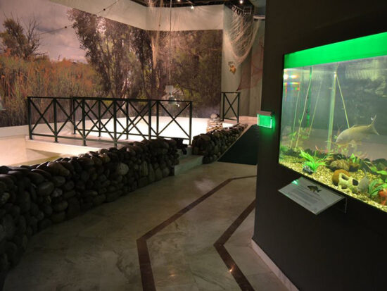 aquarium-kastorias